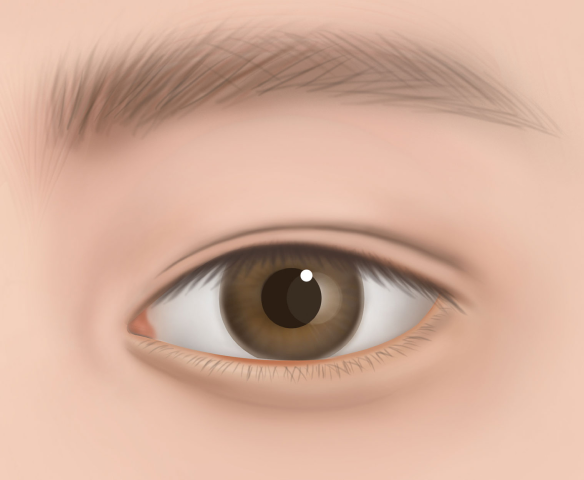 친환경 재료와 인증서 제공