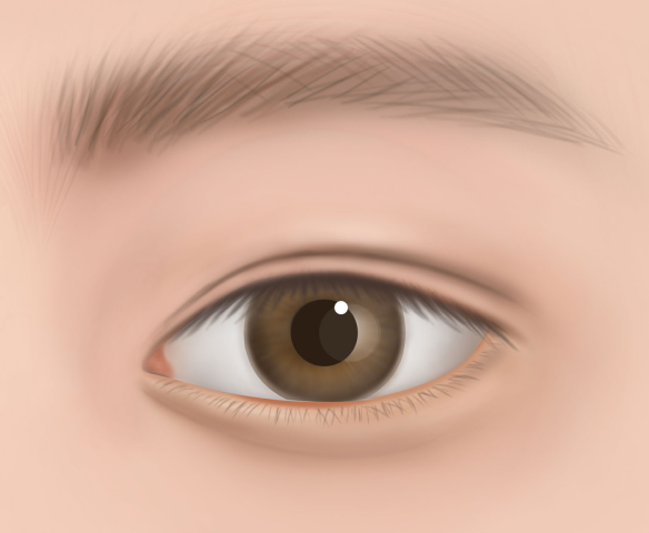 맞춤형 텍스처와 보호 코팅